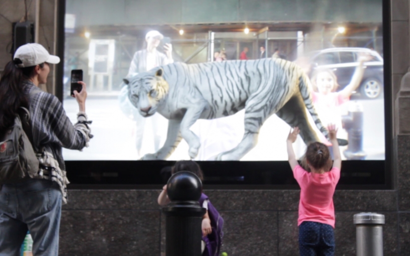 Oppenheimer ar window tiger 1000x563