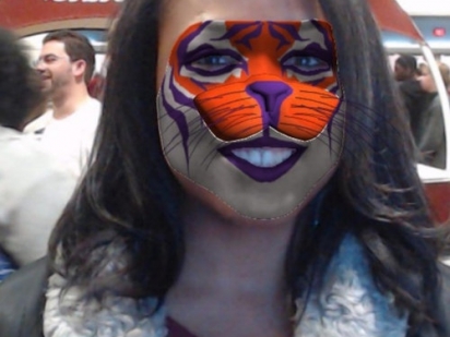 Ar facepaint tiger fan