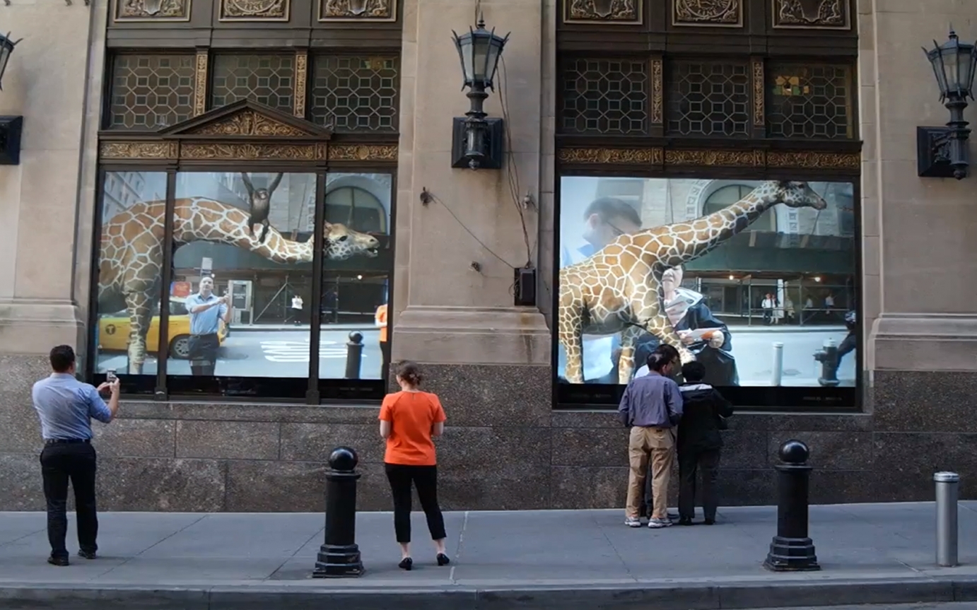 Giraffes