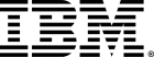 Ibm logo